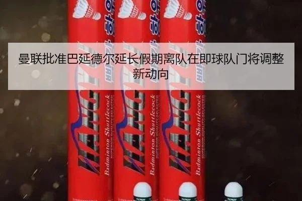 曼联批准巴延德尔延长假期离队在即球队门将调整新动向